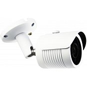 Купить AltCam DCF81IR - Мультиформатные камеры HD (4 в 1, 5 в 1) по лучшим ценам в ТД Редут СБ