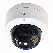 Купить Fox FX-IPC-D20AP-IR - Купольные IP-камеры (Dome) по лучшим ценам в ТД Редут СБ