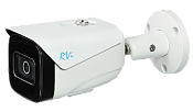 Купить RVi 1NCT2368 (2.8) white - Уличные IP-камеры (Bullet) по лучшим ценам в ТД Редут СБ