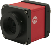 Купить Watec WAT-2200 Mk-2 - Миниатюрные (компактные) камеры по лучшим ценам в ТД Редут СБ