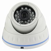 Купить AltCam DDMV21IR - Мультиформатные камеры HD (4 в 1, 5 в 1) по лучшим ценам в ТД Редут СБ